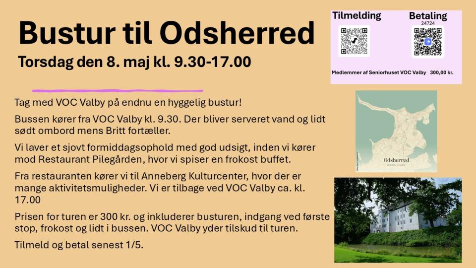 Bustur - Odsherred