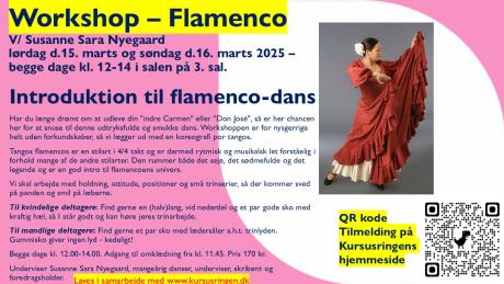 Flamenco workshop