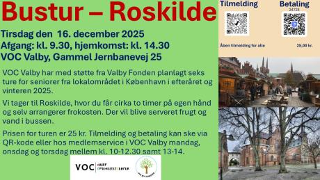 Bustur - Roskilde